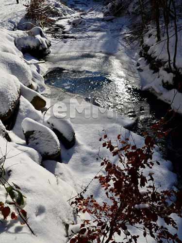 Foto In jod pe valea Baita (c) Lucian Petru Goja